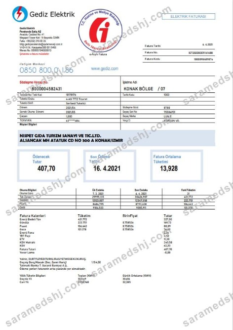 Turkey Gediz Elektrik utility bill template in Word and PDF format, fully editable